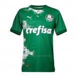 Tailandia Camiseta Palmeiras Special 2024 Verde